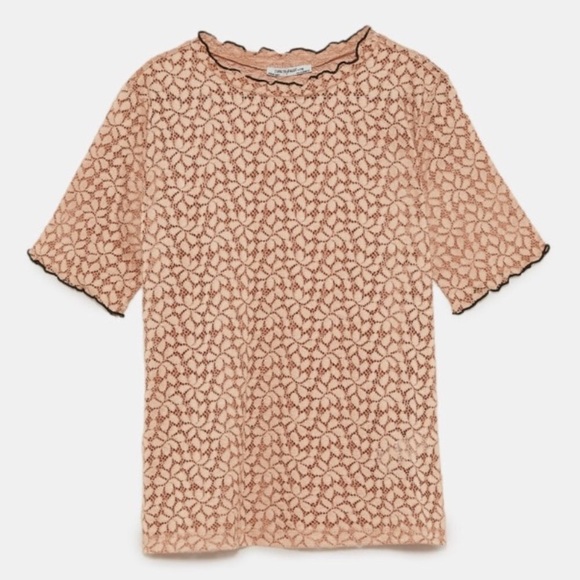 Zara lace Tshirt size S - Picture 2 of 8